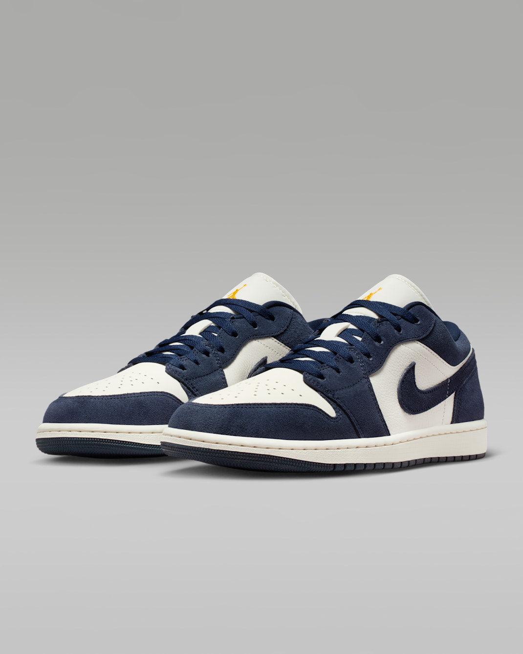 Air Jordan 1 Low SE